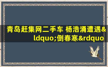 青岛赶集网二手车 杨浩涌遭遇“倒春寒”：裁员撤店,二手车市场加速洗牌